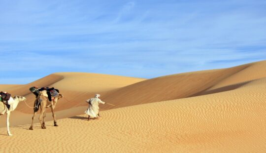 Mauritania: Dune atlantiche e Oasi Perdute