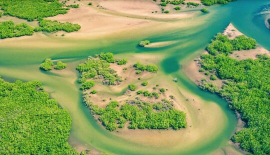 Senegal: il soffio del Sahel