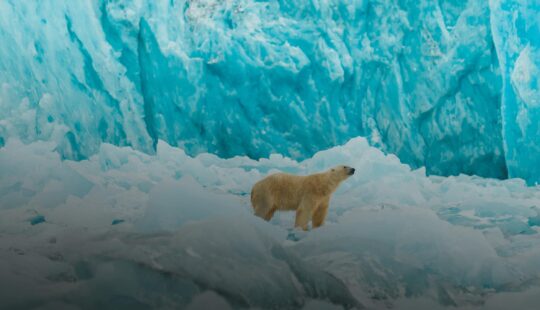 Crociera Svalbard e Spitsbergen a bordo della M/N Serenissima