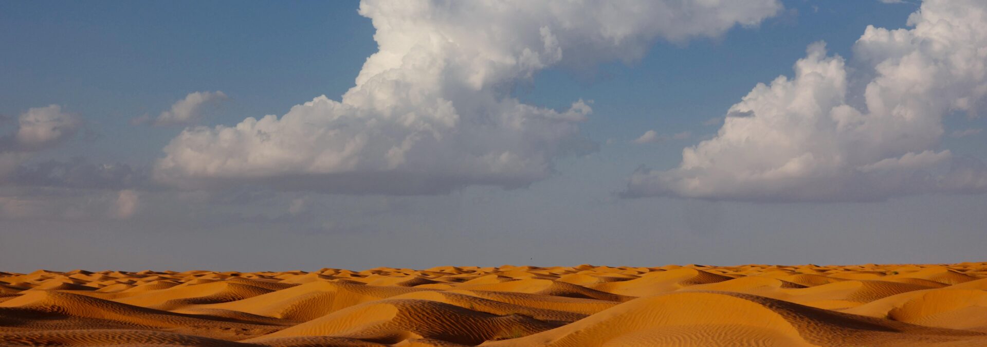 Gran Tour della Tunisia, dalle Medine al Sahara