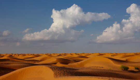 Gran Tour della Tunisia, dalle Medine al Sahara